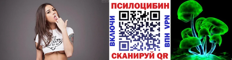 Псилоцибиновые грибы Magic Shrooms купить закладку Алатырь